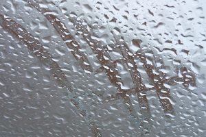 What To Do About Humidity In Your Home